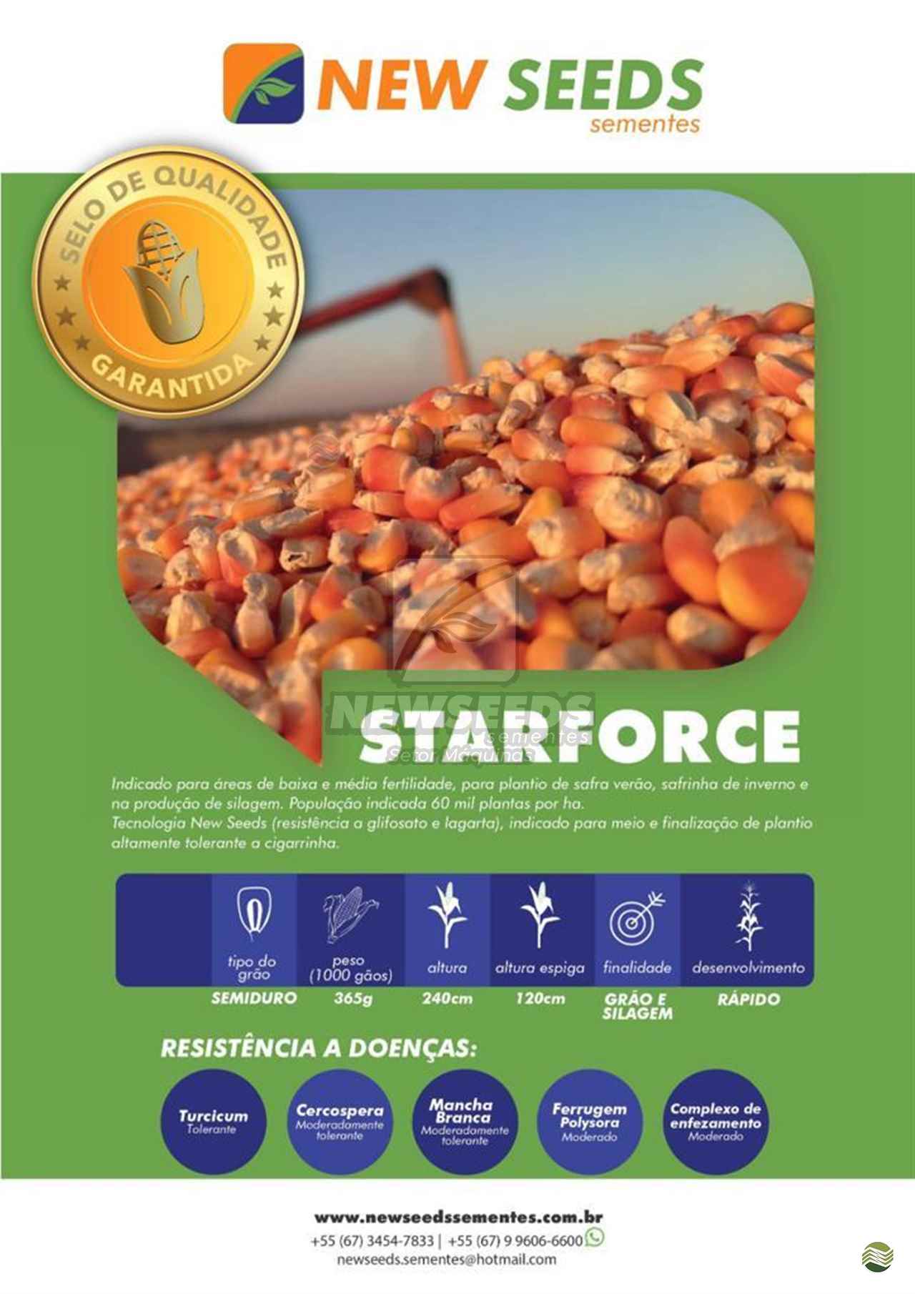 SEMENTES MILHO NEW SEEDS STARFORCE Pontara Comércio Agrícola MARACAJU MATO GROSSO DO SUL MS